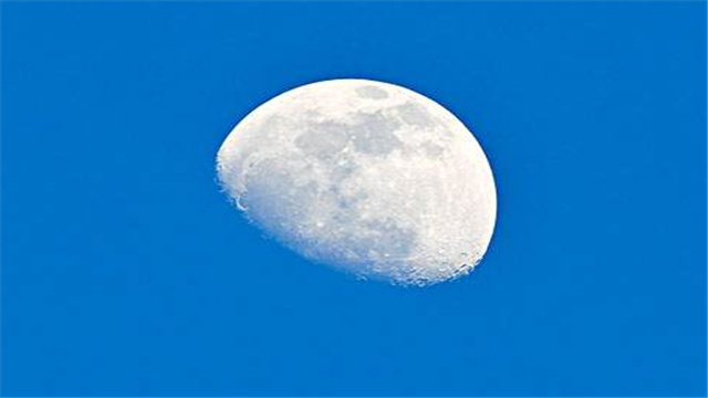 南极|10个冷知识，南极和北极哪个更冷？