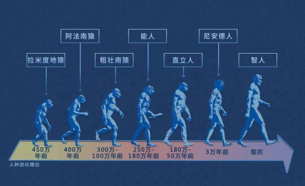 猴子|地球上第一个人是怎么来的？人类如何延续下来的？