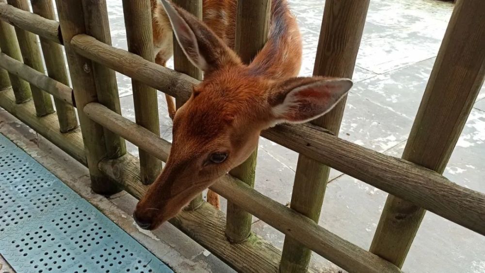 成都博物馆|乐而思蜀：记成都的三个博物馆