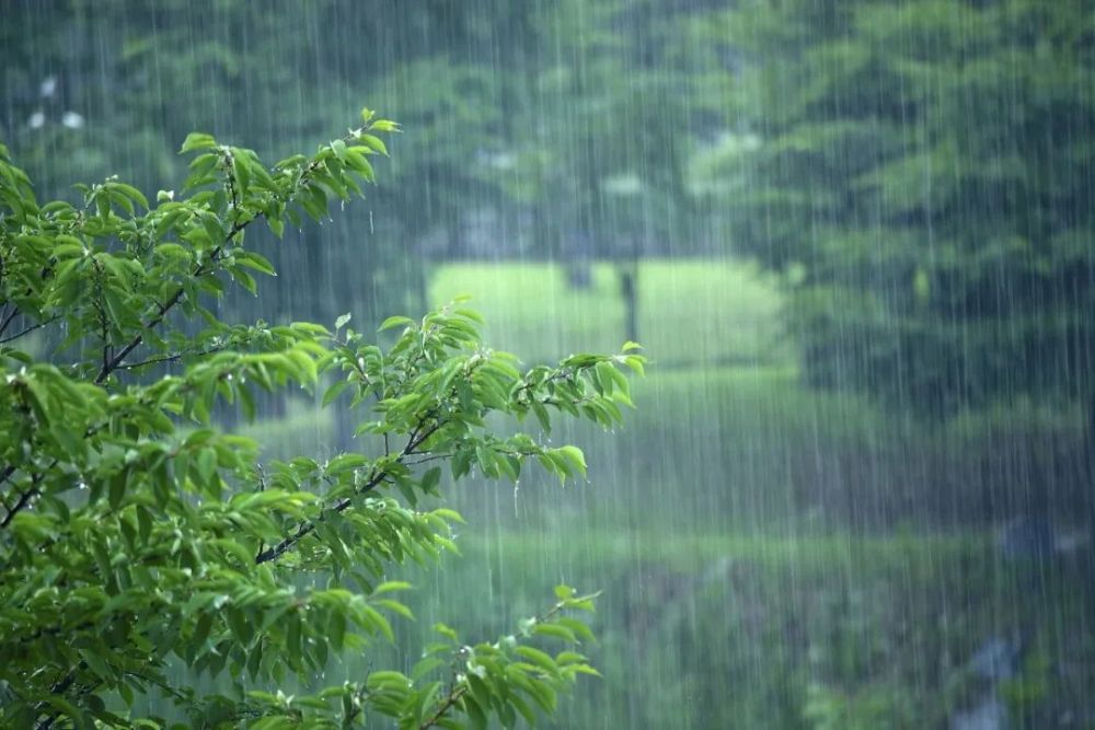 雨图片唯美 风景图片图片