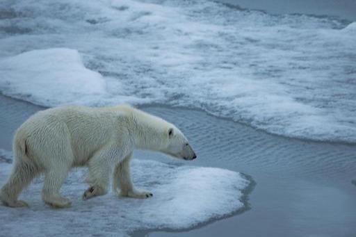 太阳黑子|地球冰河期要到了？太阳黑子影响冰河期？结论不攻自破