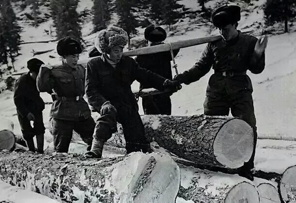 文化森工林区往事东北林区号子