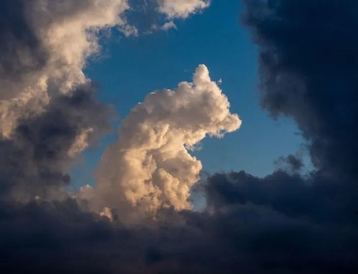 凳子|30张用完一辈子运气才拍到的照片