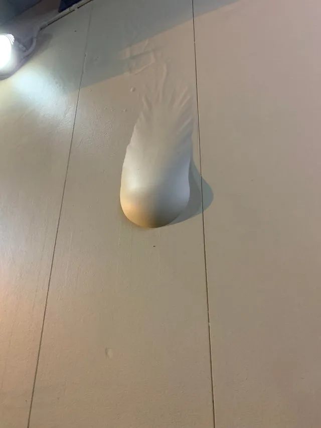 凳子|30张用完一辈子运气才拍到的照片