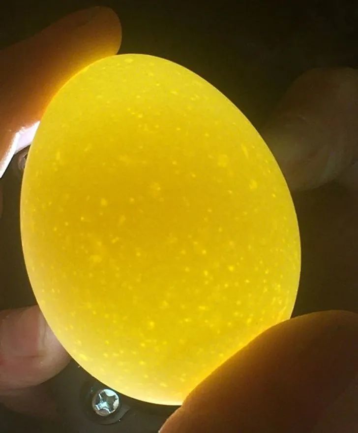 凳子|30张用完一辈子运气才拍到的照片