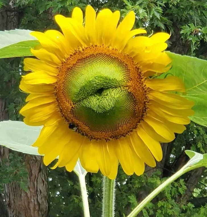 凳子|30张用完一辈子运气才拍到的照片