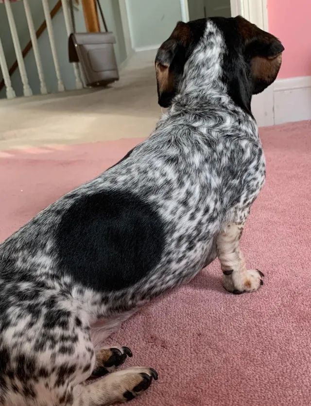 凳子|30张用完一辈子运气才拍到的照片