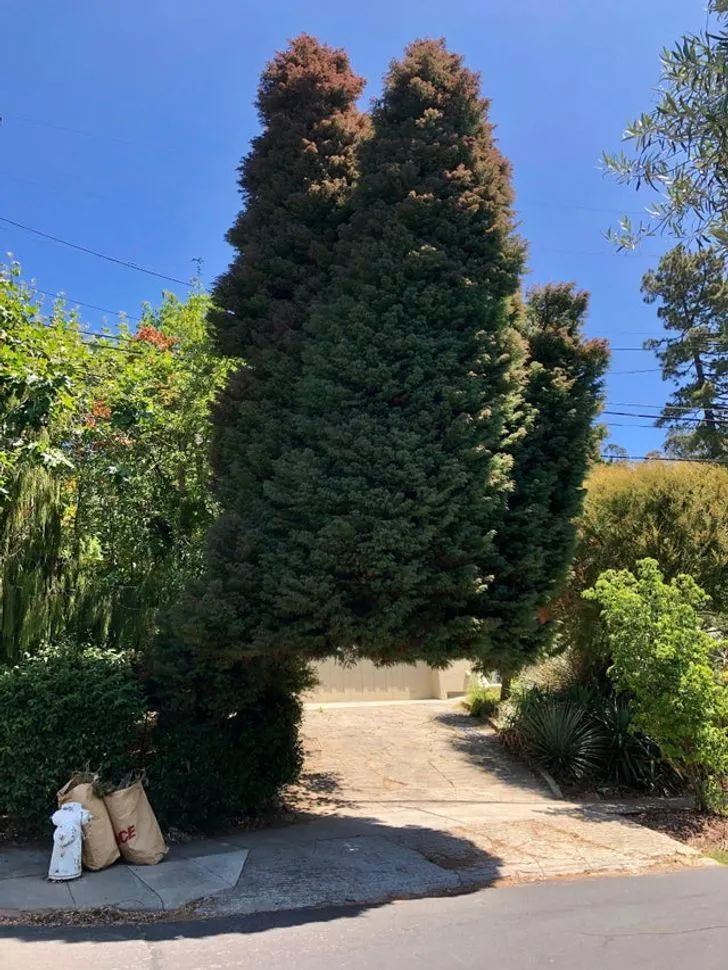 凳子|30张用完一辈子运气才拍到的照片