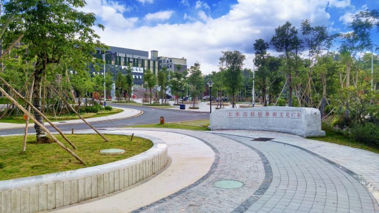 城中村蝶变文明村,平湖街道上木古社区文明建设精彩纷呈_腾讯新闻