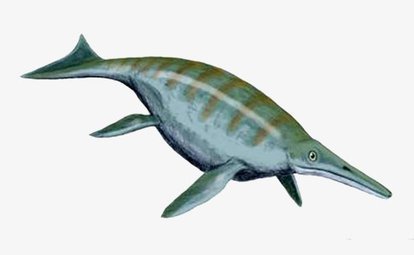 远古魅影～神秘精灵