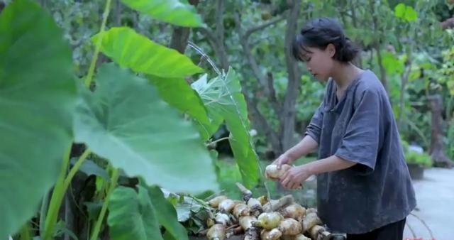李子柒|从吃出苍蝇到吃出刀片，薇娅力荐的李子柒螺蛳粉，还能火多久？