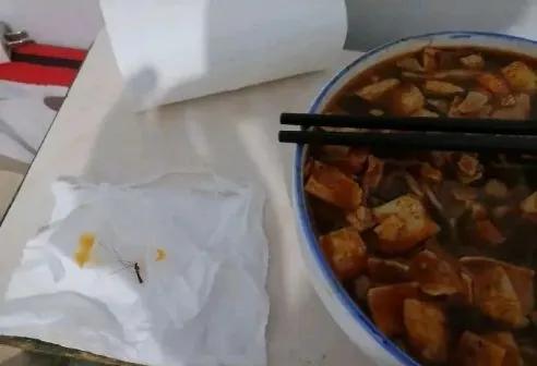 李子柒|从吃出苍蝇到吃出刀片，薇娅力荐的李子柒螺蛳粉，还能火多久？