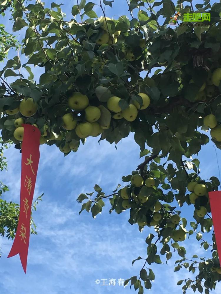 京郊游|他是“京郊王”，将北京郊外玩到极致，吸引了50万人关注