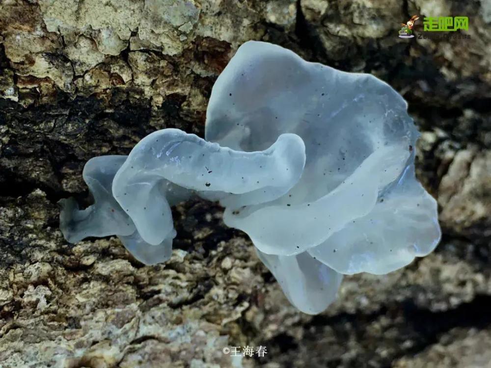 京郊游|他是“京郊王”，将北京郊外玩到极致，吸引了50万人关注