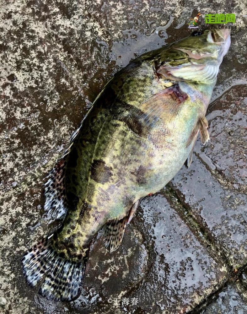 京郊游|他是“京郊王”，将北京郊外玩到极致，吸引了50万人关注