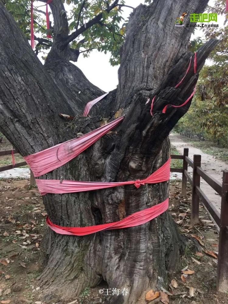 京郊游|他是“京郊王”，将北京郊外玩到极致，吸引了50万人关注