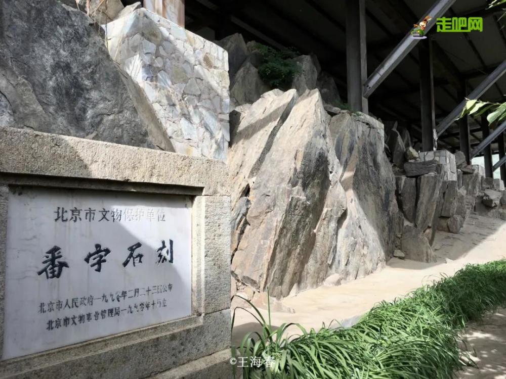 京郊游|他是“京郊王”，将北京郊外玩到极致，吸引了50万人关注