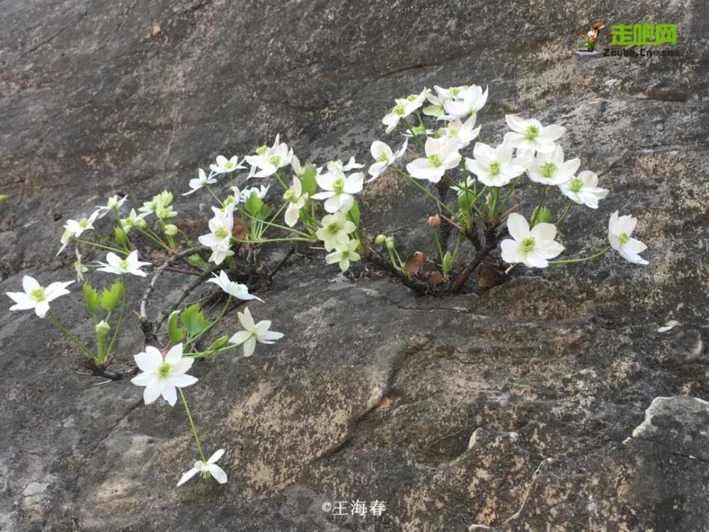 京郊游|他是“京郊王”，将北京郊外玩到极致，吸引了50万人关注