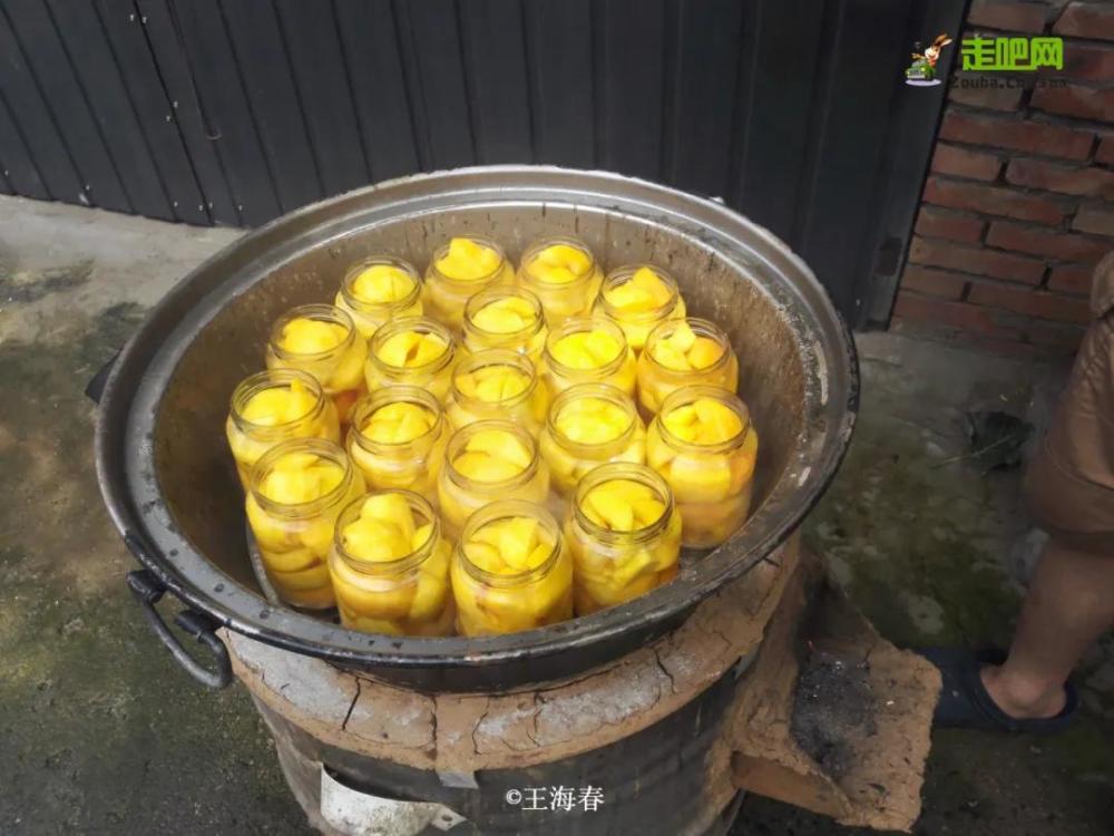 京郊游|他是“京郊王”，将北京郊外玩到极致，吸引了50万人关注