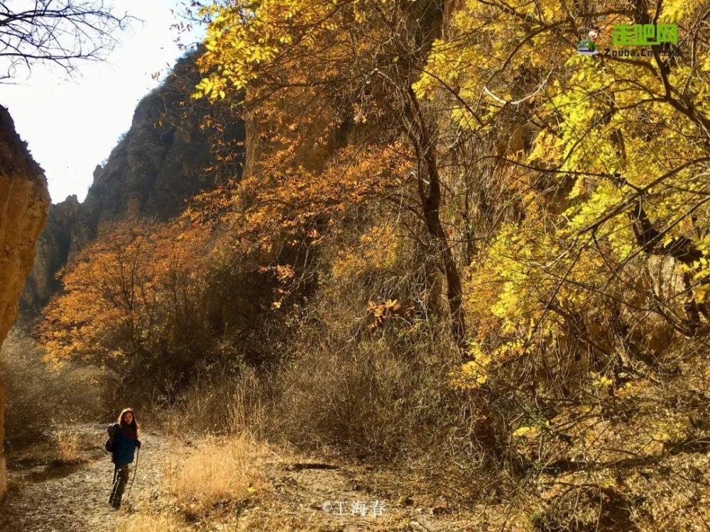 京郊游|他是“京郊王”，将北京郊外玩到极致，吸引了50万人关注