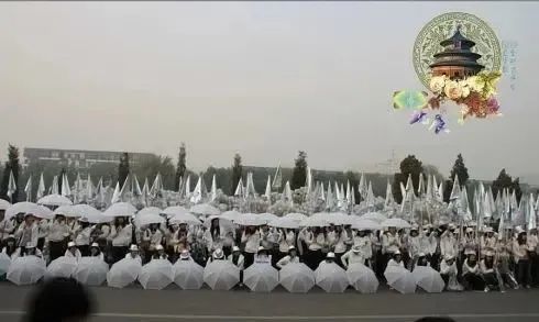 后援会|顶流后援会疑似是黑粉？这也太离谱了吧！
