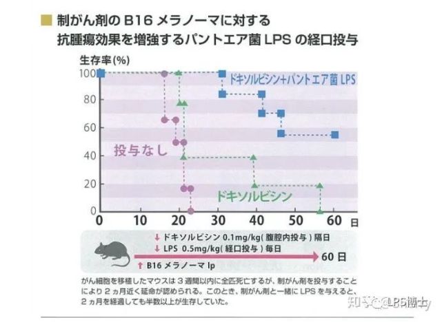 为加强压力过大的现代人的免疫力lps是 自然免疫 免疫 Lps 吞噬细胞