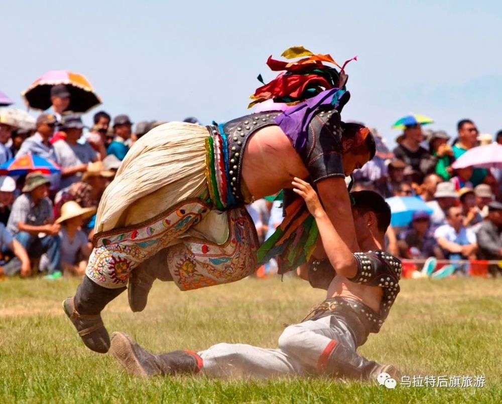 蒙古族摔跤你了解多少