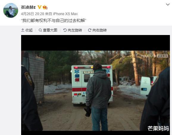 张凌赫|张凌赫这个弟弟，为什么我爱了？