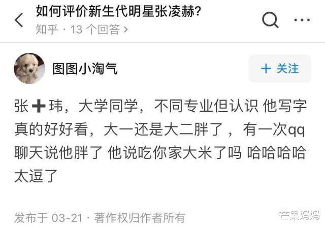张凌赫|张凌赫这个弟弟，为什么我爱了？