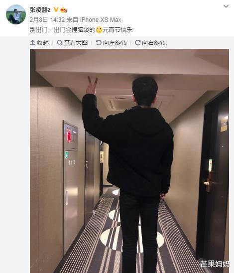 张凌赫|张凌赫这个弟弟，为什么我爱了？