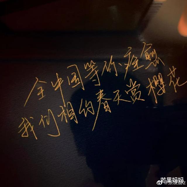 张凌赫|张凌赫这个弟弟，为什么我爱了？
