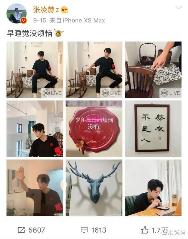 张凌赫|张凌赫这个弟弟，为什么我爱了？