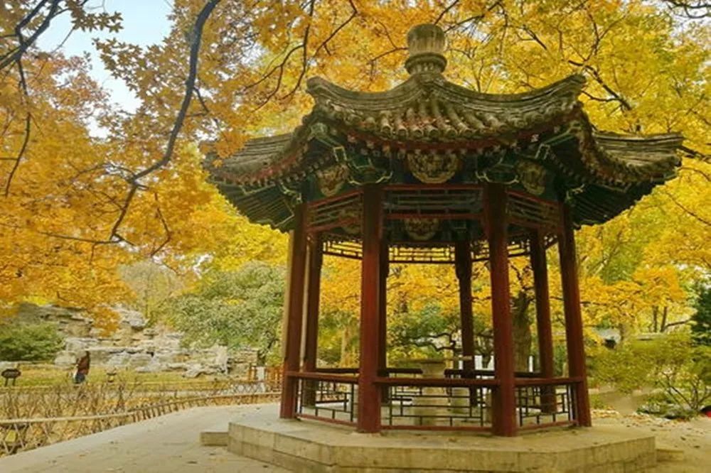 史铁生|听月儿朗诵《我与地坛 七》