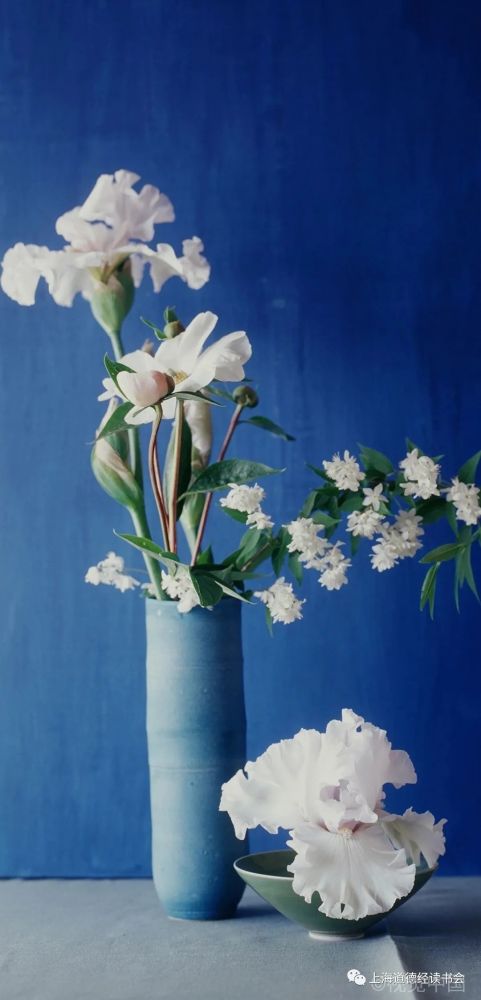 地球|我们就拿人类跟植物来比一比：这两者对地球、对生态有何不同？