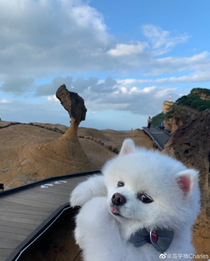 高以翔|二哥晒合影为高以翔庆生，深夜梦到弟弟不想醒来，分享兄弟过往引人泪奔