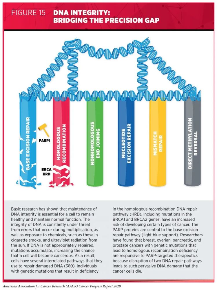 美国癌症研究协会|好文收藏！美国癌症研究协会发布2020年抗癌进展报告