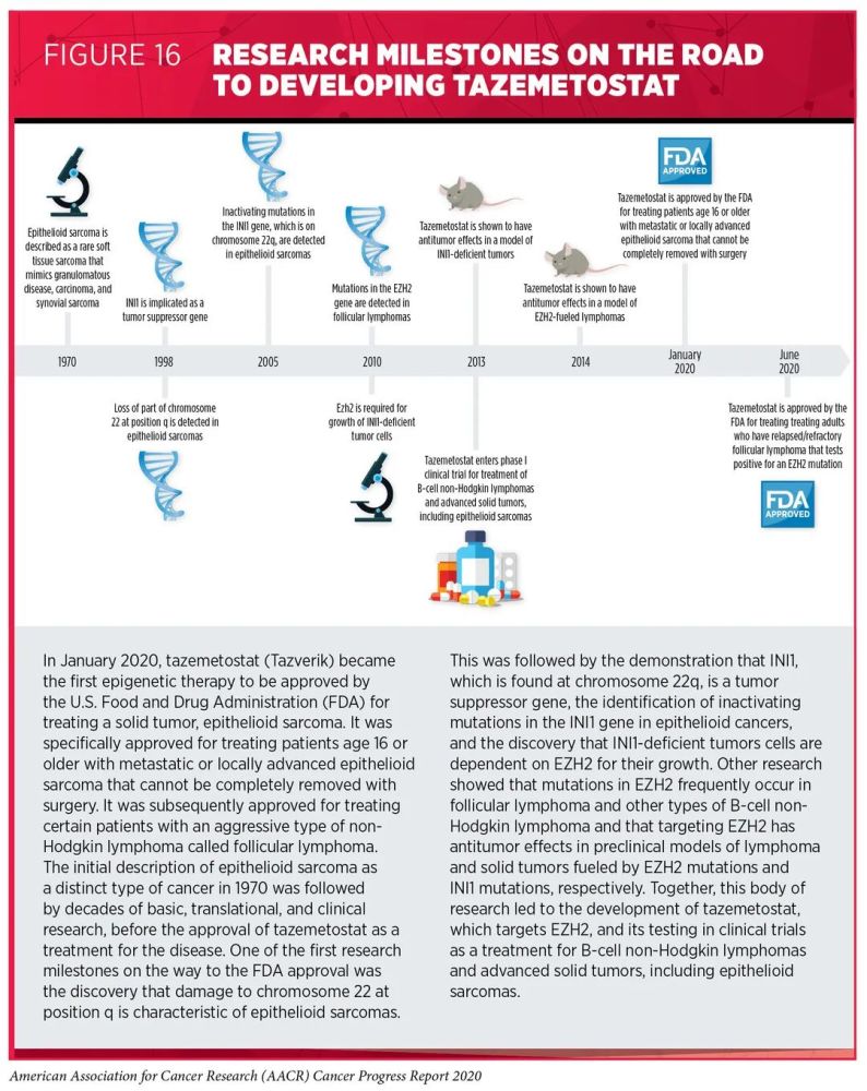 美国癌症研究协会|好文收藏！美国癌症研究协会发布2020年抗癌进展报告