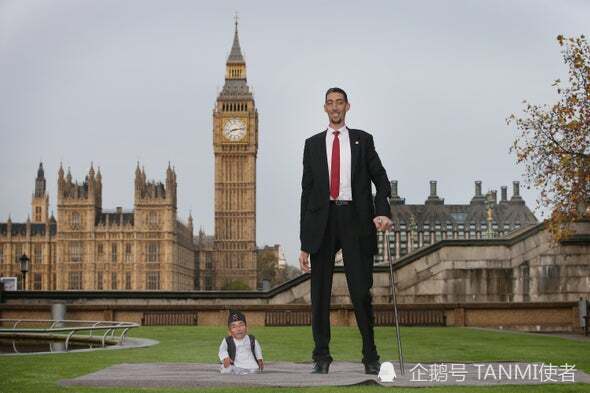 身高|为什么荷兰人那么高，1.8米还拖后腿？原来女生都是身高控