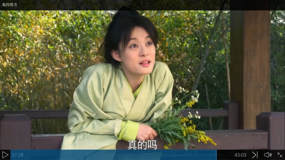 雪莲花|娱乐时代的植物：为什么受伤的总是我？