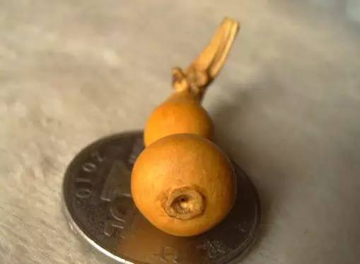 葫芦|小葫芦的大魅力