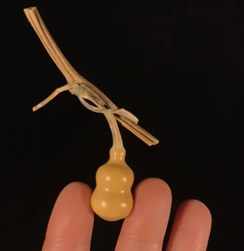 葫芦|小葫芦的大魅力