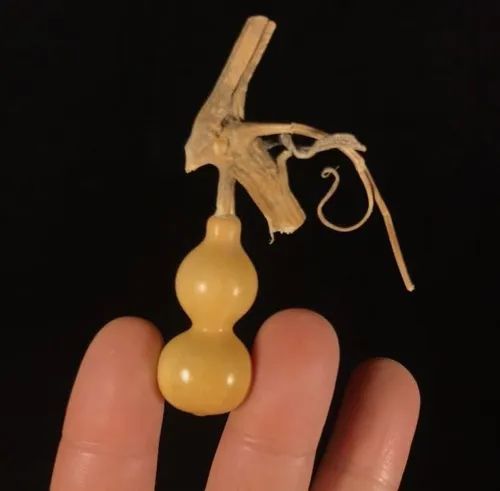 葫芦|小葫芦的大魅力