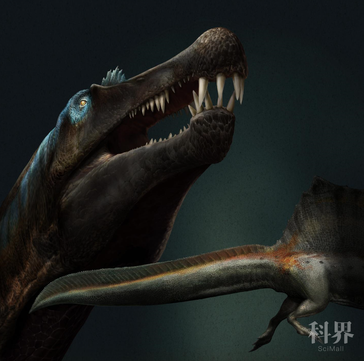 侏罗纪公园ⅲ|《侏罗纪公园Ⅲ》里的大明星，竟是水中巨兽