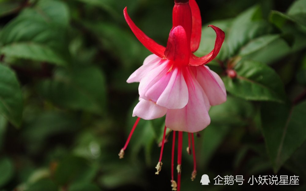 9月25日星座运势冲破束缚 幸福难当的四大星座 腾讯新闻