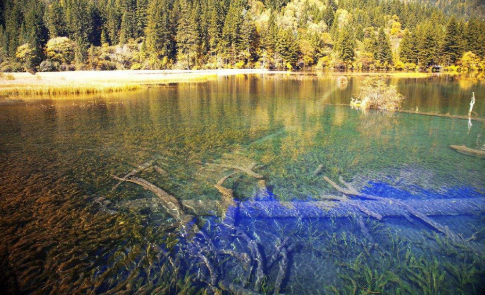 地球上的水|为啥水在地球上几十亿年都没有过期，装在瓶子里后却有了保质期？