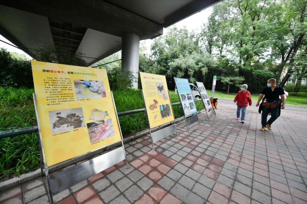 北京动物园|北京动物园今天发布系列措施，治理不文明投喂