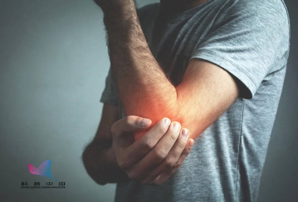 手肘|不小心磕到手肘，为什么会麻到没知觉？原因并不简单…