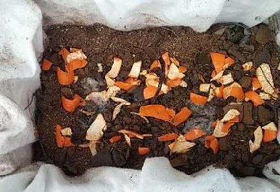盆栽植物|秋季换盆土啦！剩下的旧土怎么解决？2种操作让它变得肥力十足