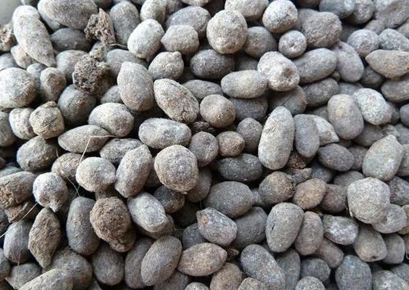 盆栽植物|秋季换盆土啦！剩下的旧土怎么解决？2种操作让它变得肥力十足