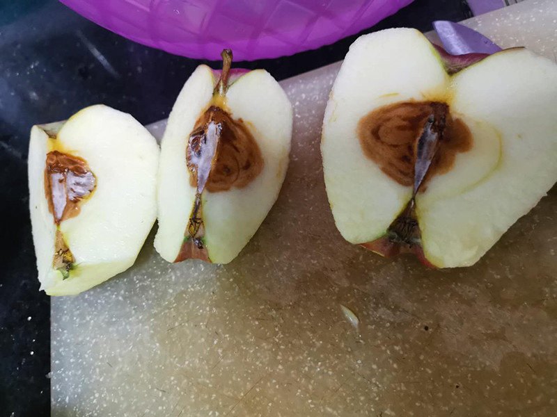 甘肃花牛苹果堆积如山,产地几毛钱一斤,可我们却买到烂的_腾讯新闻